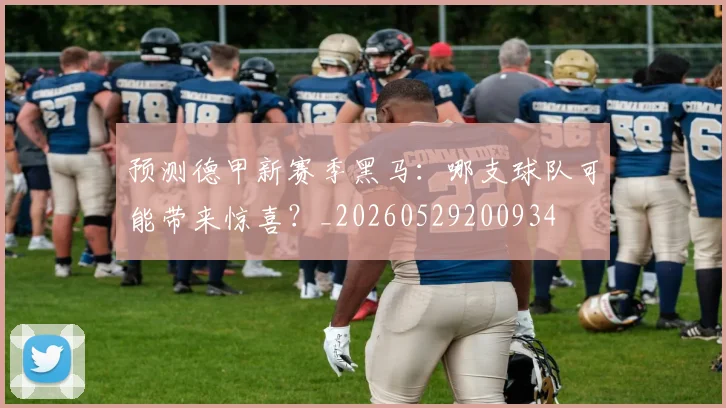 预测德甲新赛季黑马:哪支球队可能带来惊喜?_20260529200934